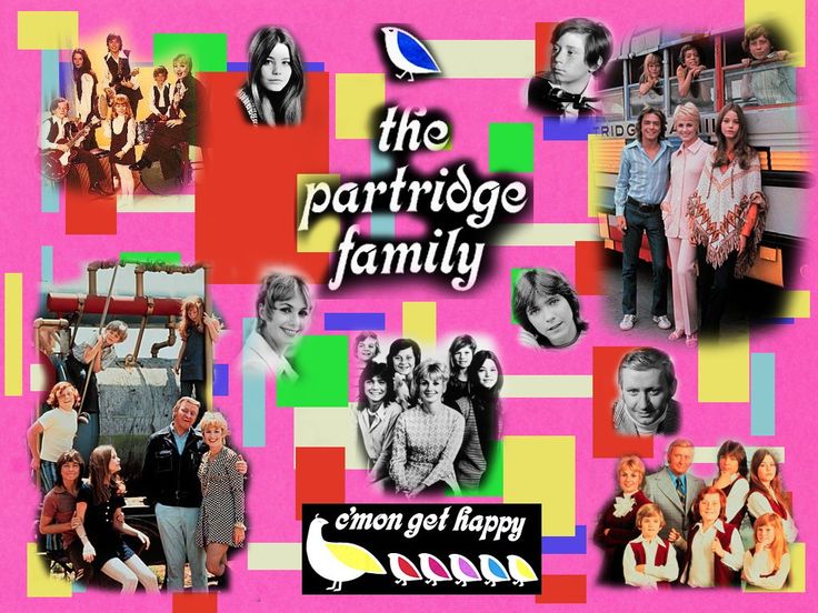 The Partridge Family I Would Have Loved You Anyway [Right Right Now Now]
