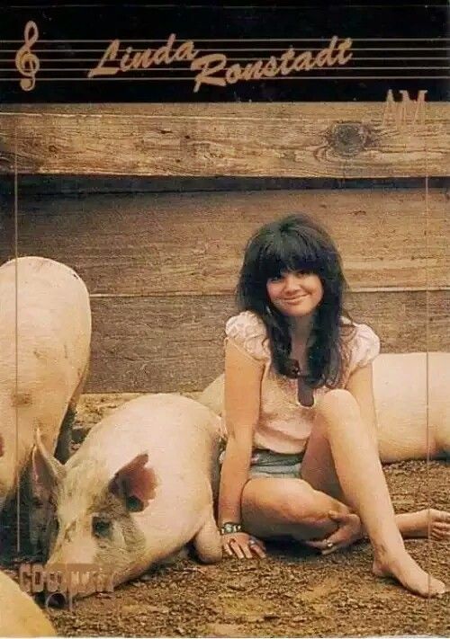 Linda Ronstadt I Can't Help It (If I'm Still In Love With You)