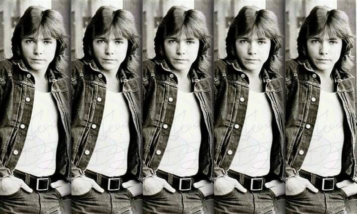 David Cassidy - Go Now 1972 | a 1972 stage favorite that showed his harder live edge