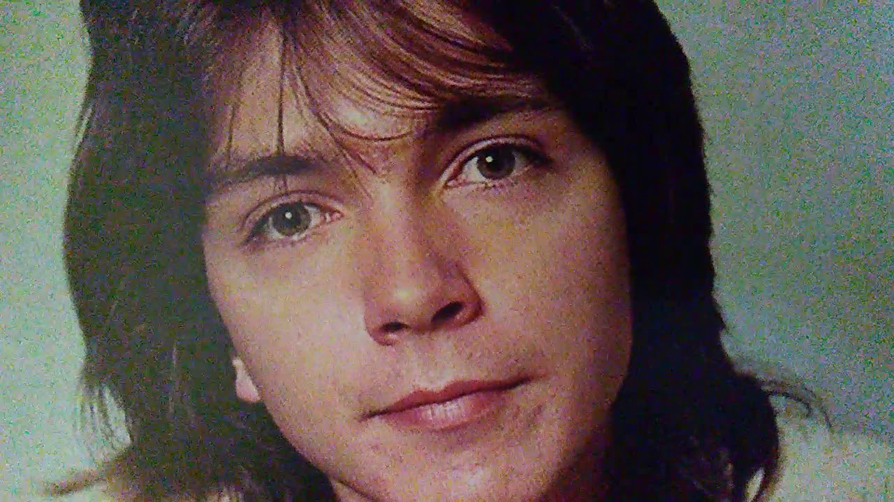 David Cassidy - Fever 1973 on UK No. 1 album Dreams Are Nuthin' More Than Wishes